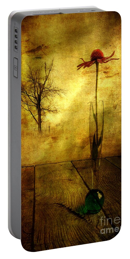 Artist Portable Battery Charger featuring the photograph On the table by Veikko Suikkanen