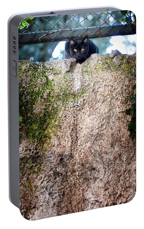 Cat Portable Battery Charger featuring the photograph On the wall by Laura Melis