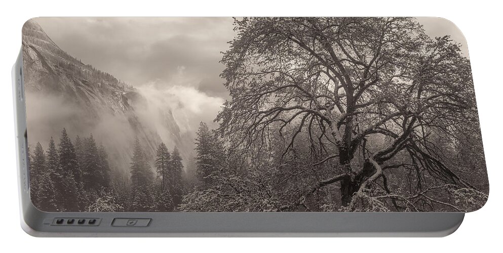 Landscape Portable Battery Charger featuring the photograph One Beauty Sepia by Jonathan Nguyen