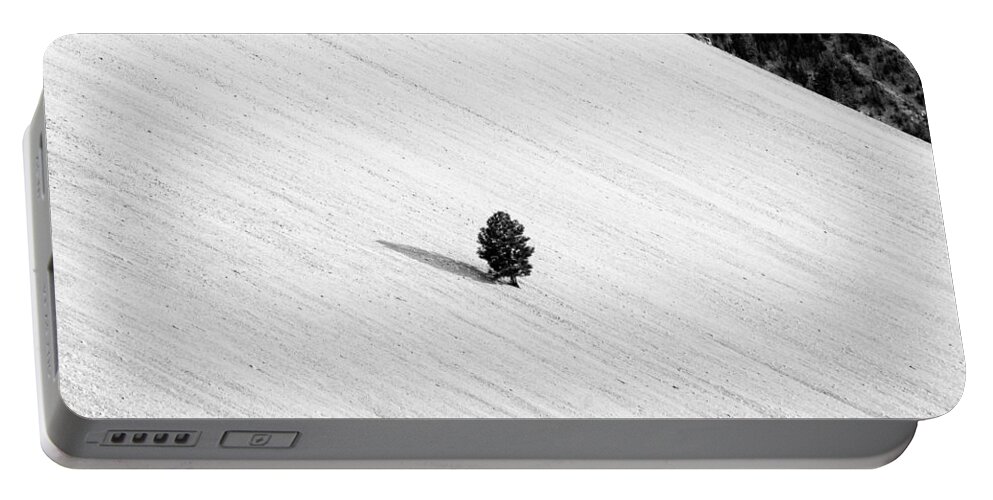 Tree Portable Battery Charger featuring the photograph One by Cat Connor