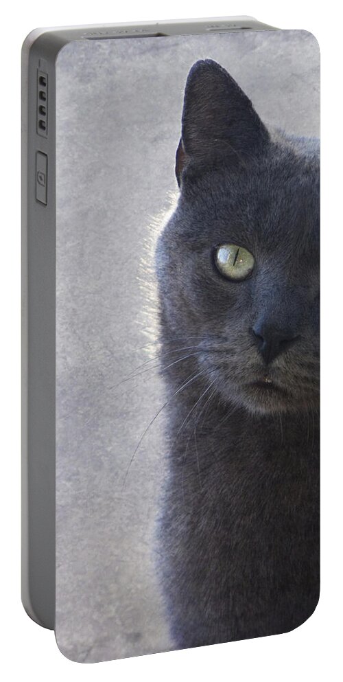 Russian Portable Battery Charger featuring the photograph One Of Those Mysterious Blue Days by Kathy Clark