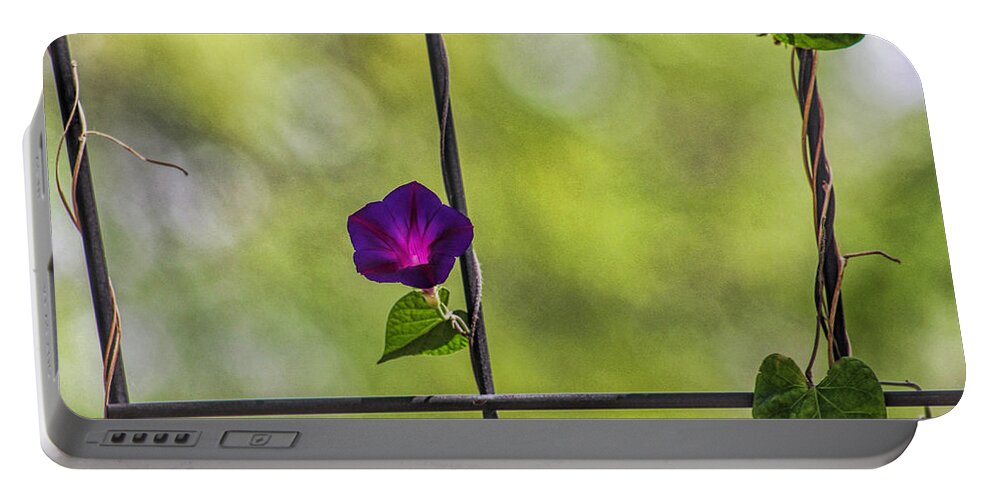 Purple Portable Battery Charger featuring the photograph One by Tammy Espino