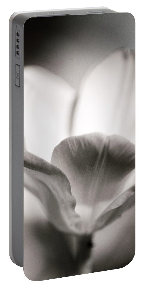 Infrared Portable Battery Charger featuring the photograph Open To The Light by Edward Kreis