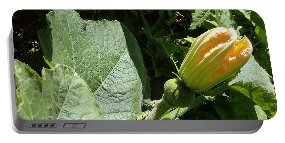 Flower Portable Battery Charger featuring the photograph Opening Day by Robert Nickologianis