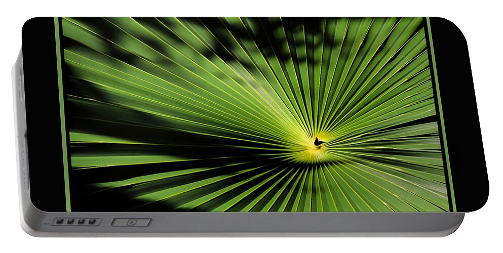 Palmetto Fan Canvas Print Portable Battery Charger featuring the photograph Optical Illusion by Lucy VanSwearingen