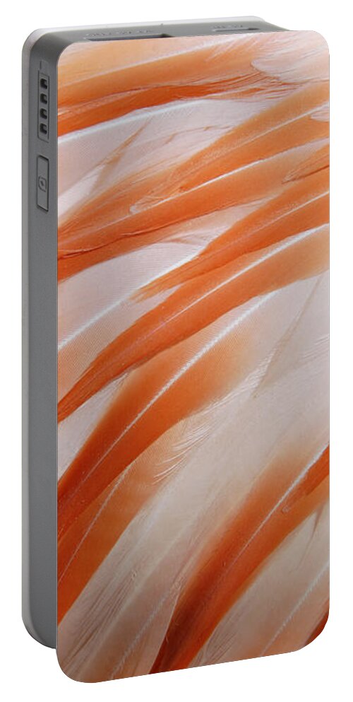 Feather Portable Battery Charger featuring the photograph Orange and white feathers of a flamingo by Matthias Hauser
