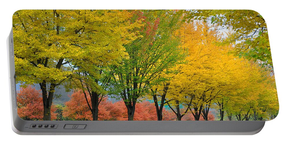 Fall Portable Battery Charger featuring the photograph Row Of Trees by Kirt Tisdale