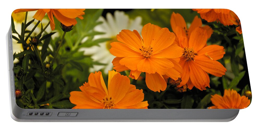 Orange Portable Battery Charger featuring the photograph Orange Flowers by William Norton