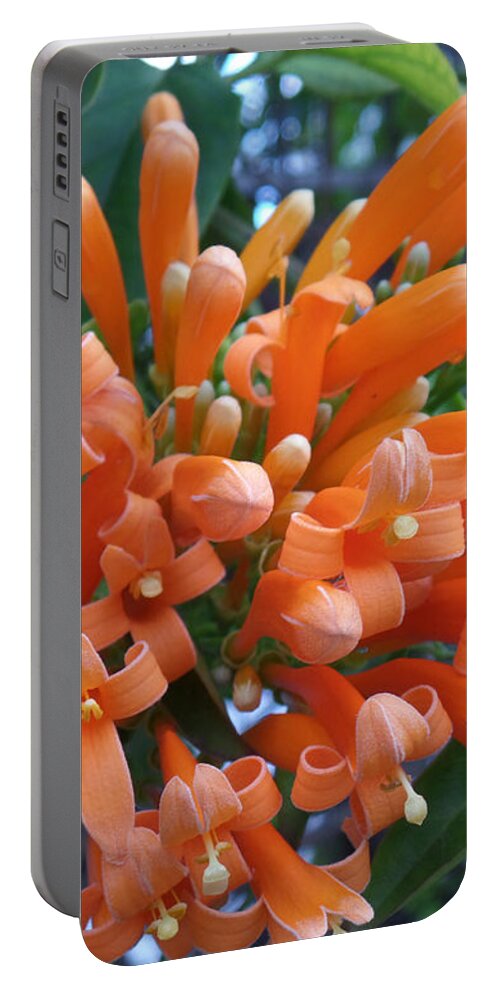Flower Portable Battery Charger featuring the photograph Orange Petals by HEVi FineArt
