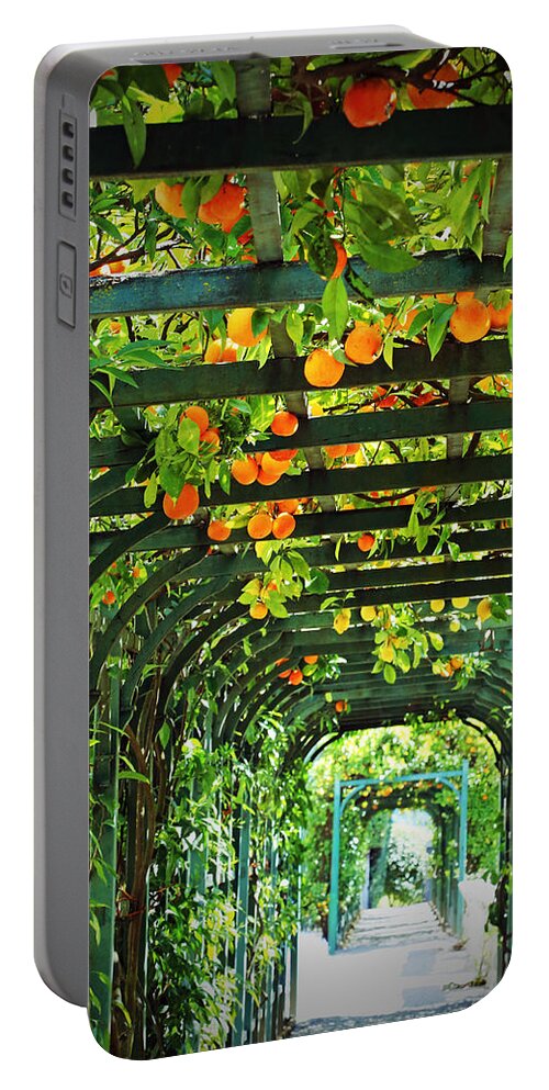 Orange And Green Portable Battery Charger featuring the photograph Oranges and Lemons on a Green Trellis by Brooke T Ryan