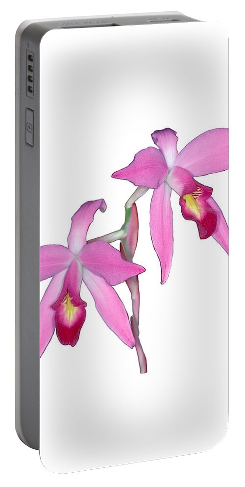 Flower Portable Battery Charger featuring the photograph Orchid 1-1 by Andy Shomock