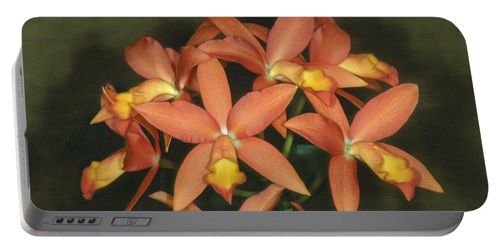 Flower Portable Battery Charger featuring the photograph Orchid 3 by Andy Shomock