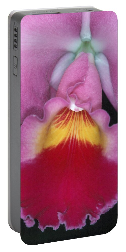 Flower Portable Battery Charger featuring the photograph Orchid 8 by Andy Shomock