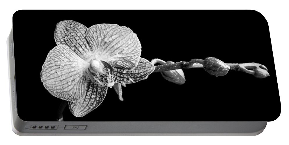 Orchid Portable Battery Charger featuring the photograph Orchid Phalaenopsis flower by Michalakis Ppalis