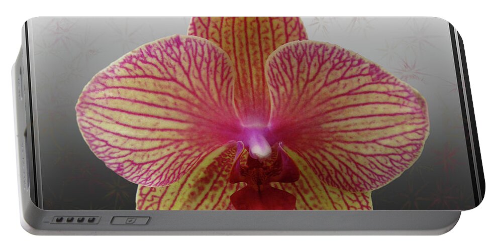 Flower Portable Battery Charger featuring the photograph Orchid with Stars by Donna Brown