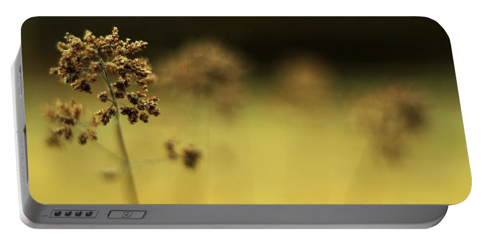 Oregano Portable Battery Charger featuring the photograph Oregano Winter Warmth by Rebecca Sherman