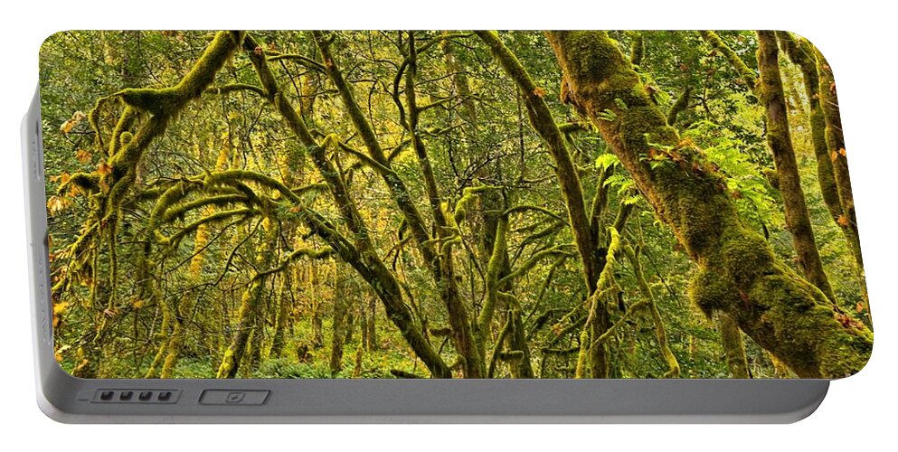 Oregon Rainforest Portable Battery Charger featuring the photograph Oregon Rainforest by Adam Jewell