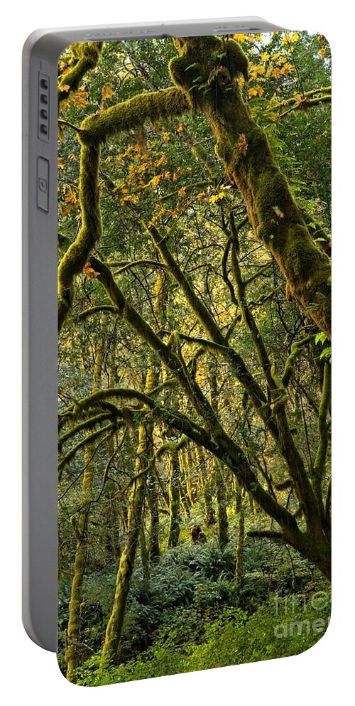 Oregon Rainforest Portable Battery Charger featuring the photograph Oregon Rainforest Green by Adam Jewell
