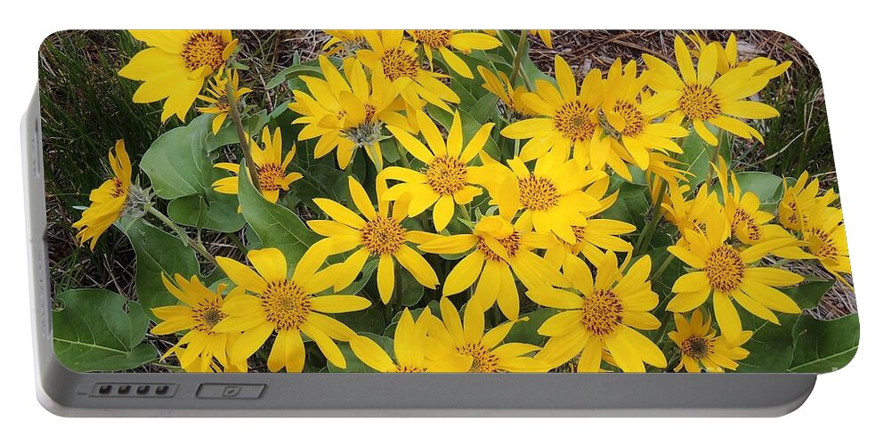 Arrowleaf Balsamroot Portable Battery Charger featuring the photograph Oregon Sunflower by Michele Penner