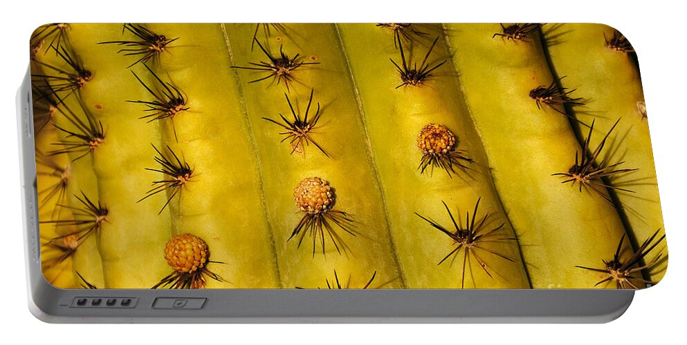Organ Pipe Cactus Portable Battery Charger featuring the photograph Organ Pipe Cactus Detail by Vivian Christopher