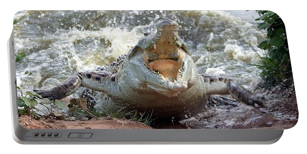 Orinoco Crocodile Portable Battery Charger featuring the photograph Orinoco Crocodile Protecting Nest by M. Watson
