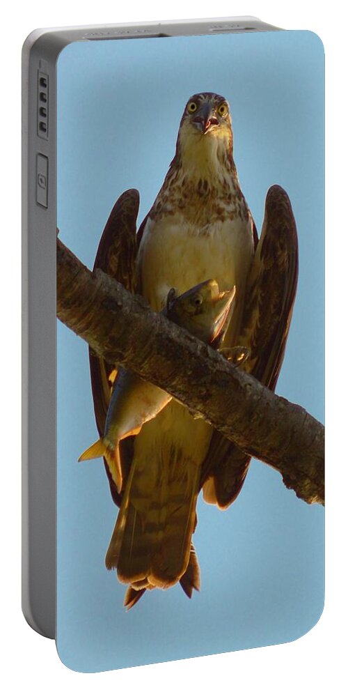 Beach Bum Pics Portable Battery Charger featuring the photograph Osprey Lunch by Billy Beck