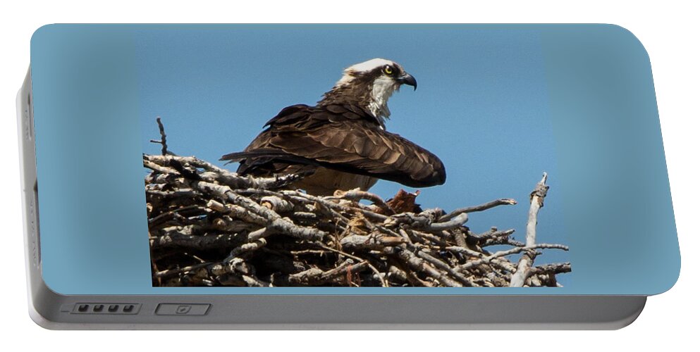 Osprey Portable Battery Charger featuring the photograph Osprey Nest 2 by John Daly