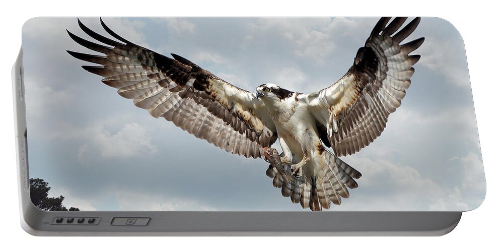 Birds Portable Battery Charger featuring the photograph Osprey With Fish In Talons by Kathy Baccari