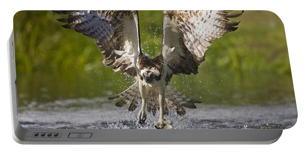 Flpa Portable Battery Charger featuring the photograph Osprey With Trout In Talons Finland by Dickie Duckett