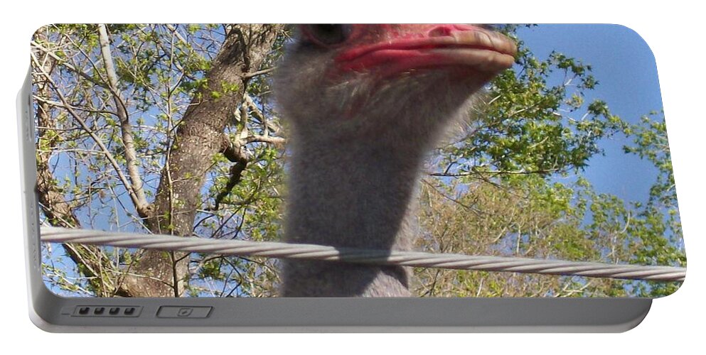 #big #bird #blue #sky #pink #wire #exotic #farm #life #florida #ostrich Portable Battery Charger featuring the photograph Big Bird The Ostrich by Belinda Lee