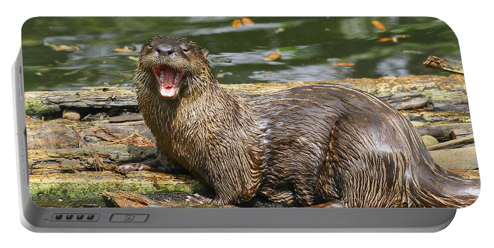 North American River Otter Portable Battery Charger featuring the photograph Otter yawn by Barbara Bowen