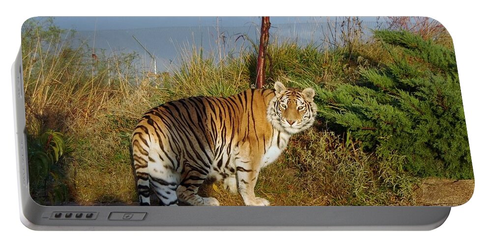 Africa Portable Battery Charger featuring the photograph Out of Africa Tiger 1 by Phyllis Spoor