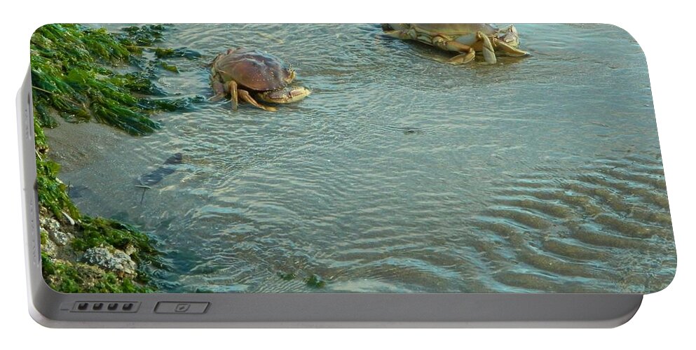 Coast Portable Battery Charger featuring the photograph Out of the sand by Gallery Of Hope 