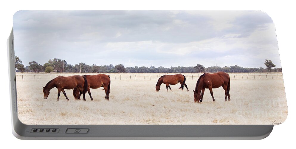  Horse Portable Battery Charger featuring the photograph Over the fence by Linda Lees
