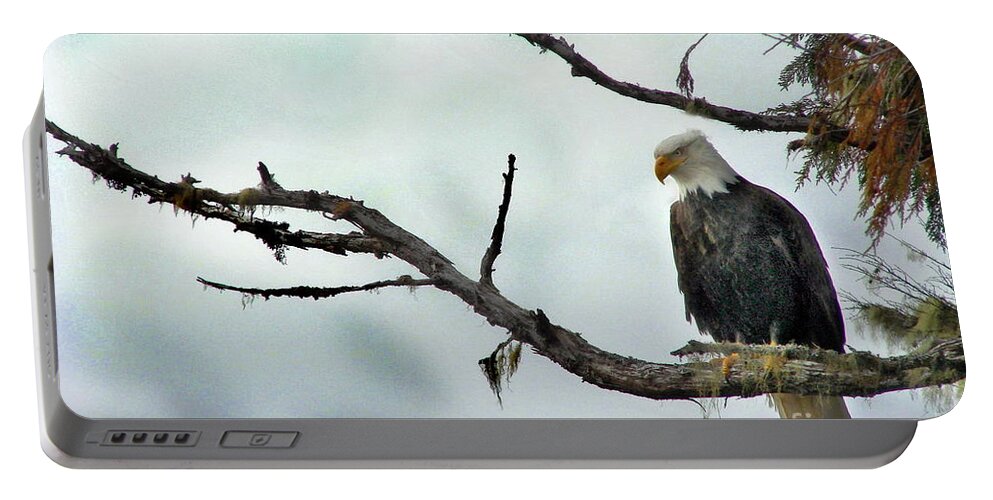 Eagle Portable Battery Charger featuring the photograph Overseeing Dinner by Vivian Martin