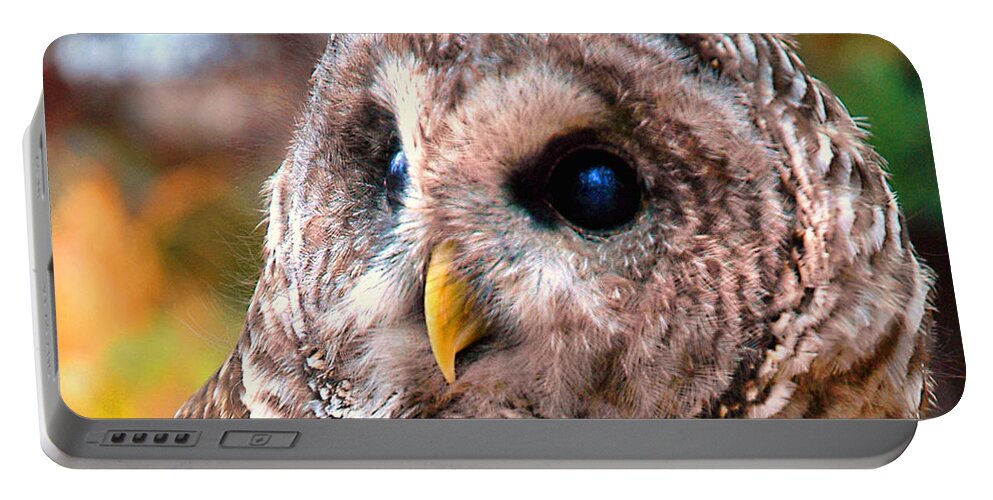 Barred Owl Portable Battery Charger featuring the photograph Owl Gaze by Adam Olsen