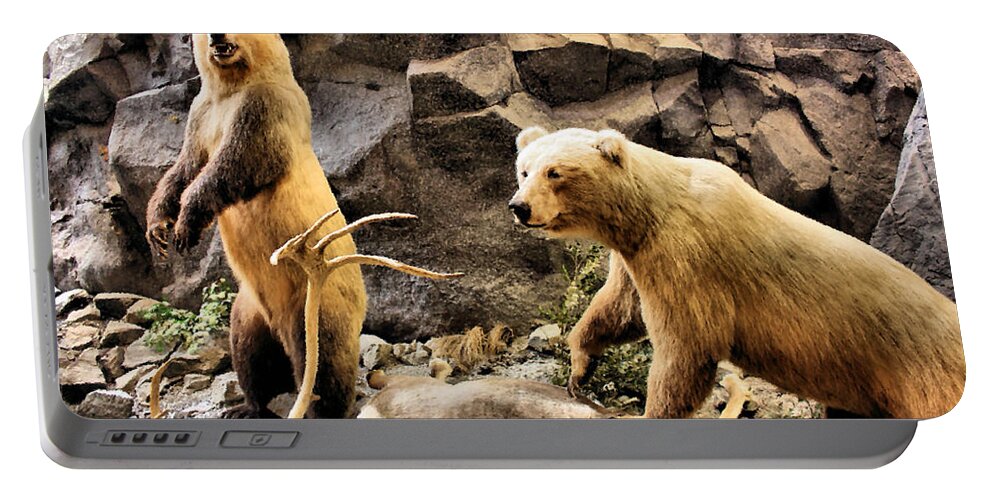 Bear Portable Battery Charger featuring the photograph Ownership by Kristin Elmquist