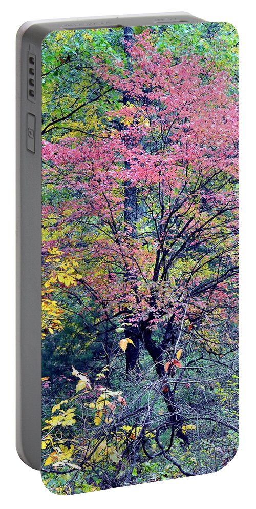 Autumn Portable Battery Charger featuring the photograph Ozarks Autumn by Deena Stoddard