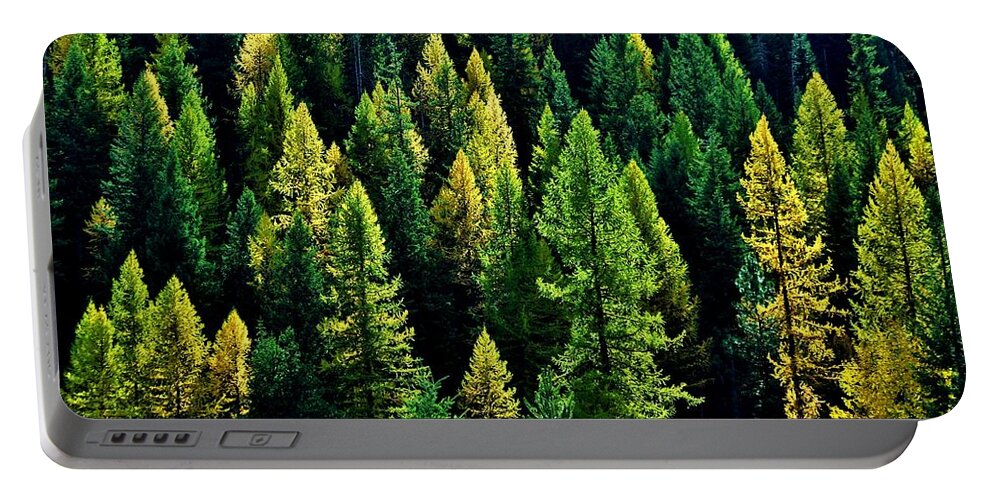 Pines Portable Battery Charger featuring the photograph Pacific Northwest Autumn by Benjamin Yeager