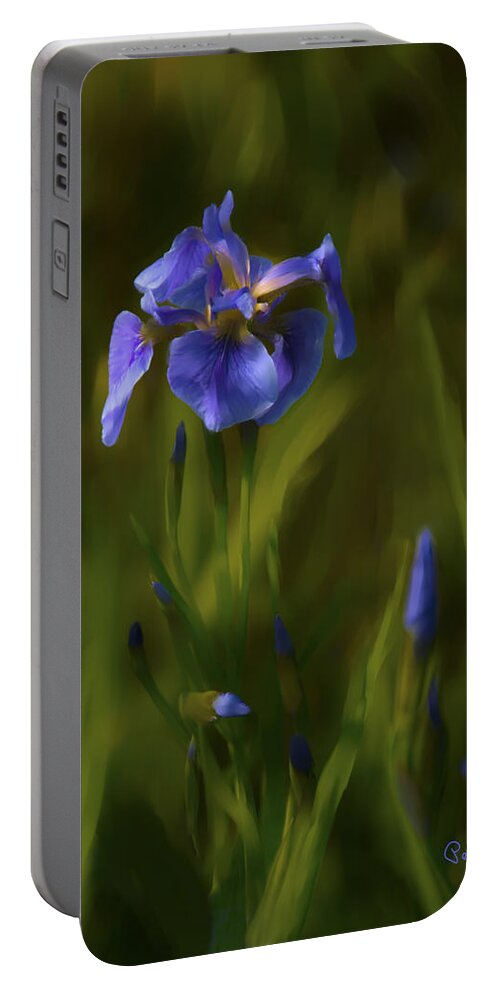 Alaska Portable Battery Charger featuring the photograph Painted Alaskan Wild Irises by Penny Lisowski