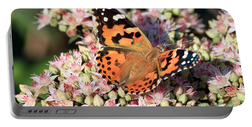 Butterfly Portable Battery Charger featuring the photograph Painted Lady Butterfly by Teresa Zieba