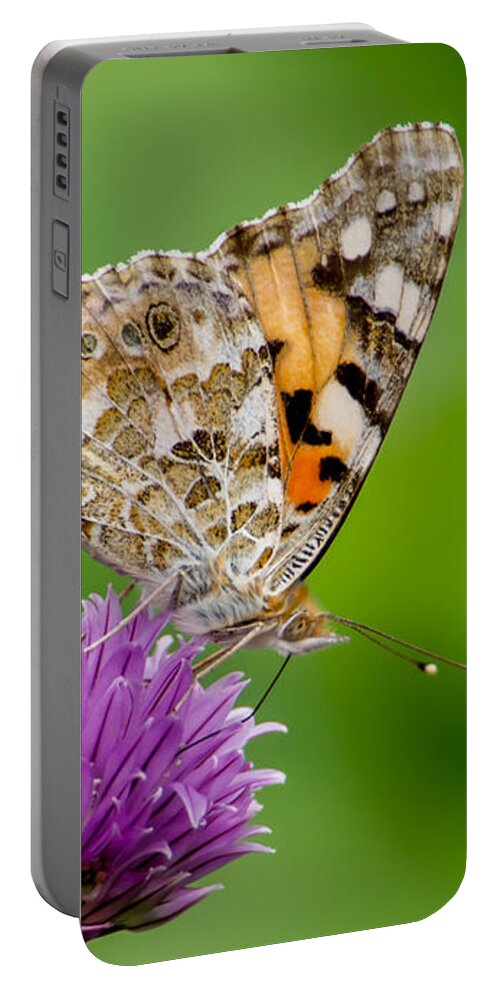 Painted Lady Ii Portable Battery Charger featuring the photograph Painted Lady II by Torbjorn Swenelius
