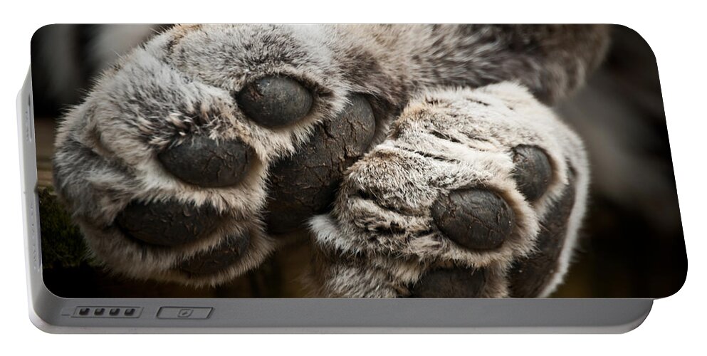 Marwell Portable Battery Charger featuring the photograph Pair of Paws by Chris Boulton