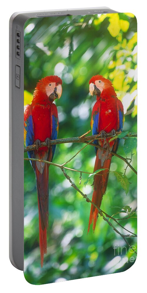 Scarlet Macaws Portable Battery Charger featuring the photograph Pair Of Scarlet Macaws by Art Wolfe