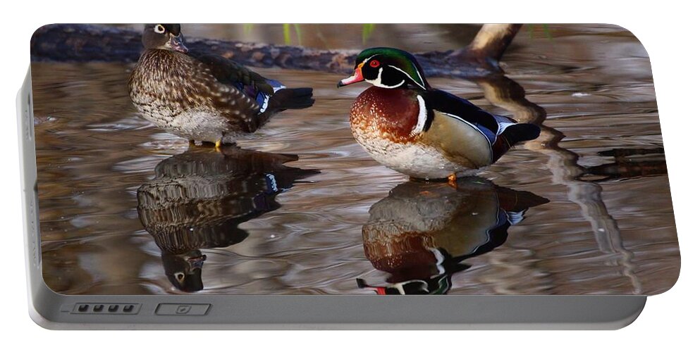 Pair Of Wood Ducks Portable Battery Charger featuring the photograph Pair of wood ducks by Lynn Hopwood
