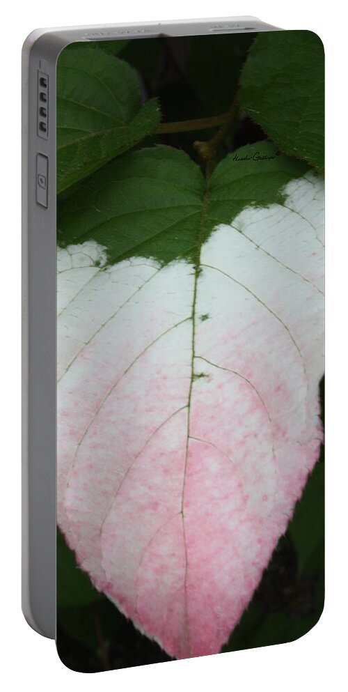 Leaves Portable Battery Charger featuring the photograph Pale Blush by Heather Gallup