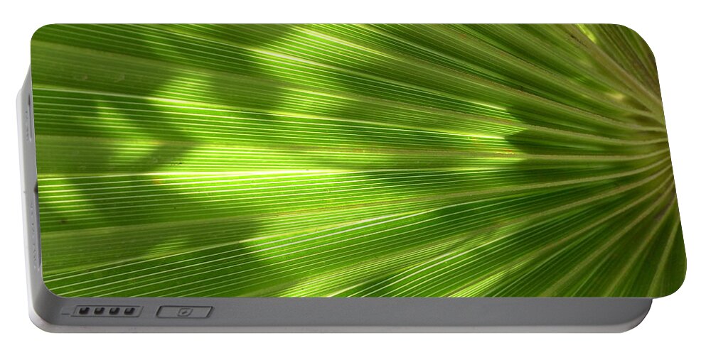  Portable Battery Charger featuring the photograph Palm Leaf by Nora Boghossian