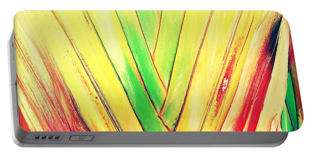 Florida Portable Battery Charger featuring the photograph Palms by Chris Andruskiewicz