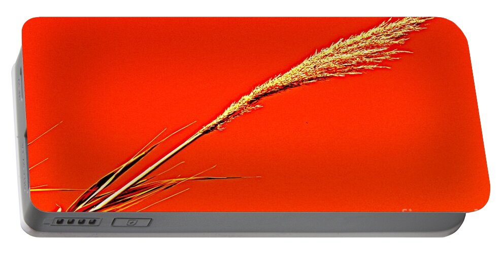Pampas Portable Battery Charger featuring the photograph Pampas Grass Red by Clare Bevan