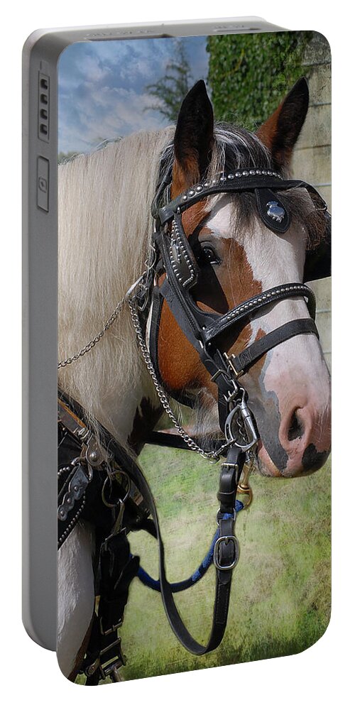 Heavy Harness Portable Battery Charger featuring the photograph Pandora in Harness by Fran J Scott